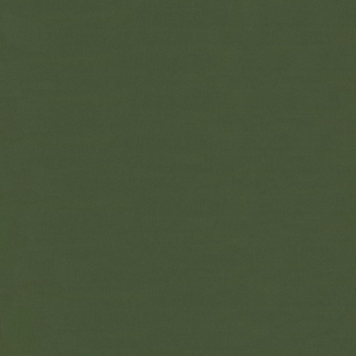 Savvy Pine by Kasmir Fabric 5022 100% Cotton
 INDIA </p><p>Repeat: Horizontal: N/A and Vertical: N/A 54 - 55 - Fabric Carolina -