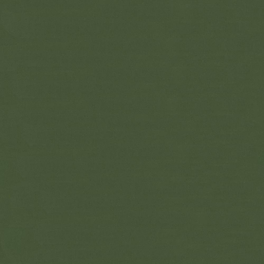 Savvy Pine by Kasmir Fabric 5022 INDIA 10,000 Wyzenbeek Double Rubs H: N/A, V:N/A 54 - 55 - Fabric Carolina - Kasmir