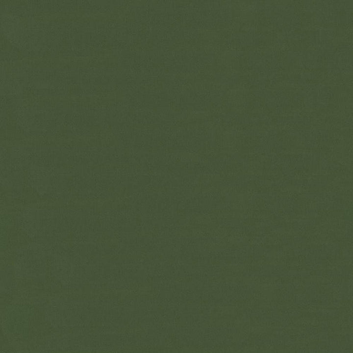 Savvy Pine by Kasmir Fabric 5022 INDIA 10,000 Wyzenbeek Double Rubs H: N/A, V:N/A 54 - 55 - Fabric Carolina - Kasmir