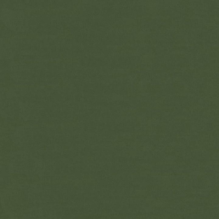 Savvy Pine by Kasmir Fabric 5022 100% Cotton
 INDIA 10,000 Wyzenbeek Double Rubs </p><p>Repeat: Horizontal: N/A and Vertical: N/A 54 - Fabric Carolina -