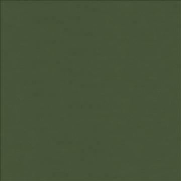 Savvy Pine by Kasmir Fabric 5022 100% Cotton INDIA 10,000 Wyzenbeek Double Rubs H: N/A, V: N/A 54 - 55 - Fabric Carolina - Kasmir