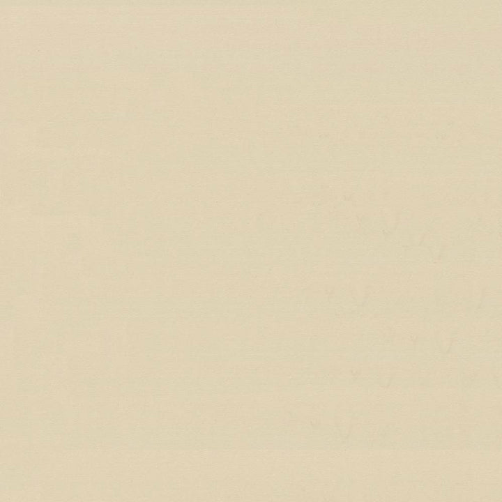 Savvy Sand by Kasmir Fabric 5022 INDIA 10,000 Wyzenbeek Double Rubs H: N/A, V:N/A 54 - 55 - Fabric Carolina - Kasmir