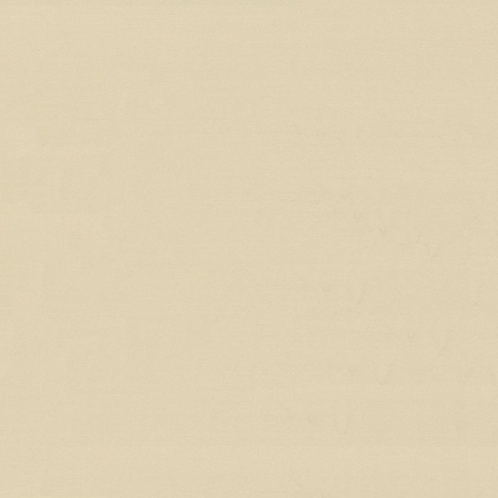 Savvy Sand by Kasmir Fabric 5022 100% Cotton
 INDIA </p><p>Repeat: Horizontal: N/A and Vertical: N/A 54 - 55 - Fabric Carolina -