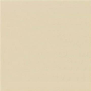 Savvy Sand by Kasmir Fabric 5022 100% Cotton INDIA 10,000 Wyzenbeek Double Rubs H: N/A, V: N/A 54 - 55 - Fabric Carolina - Kasmir