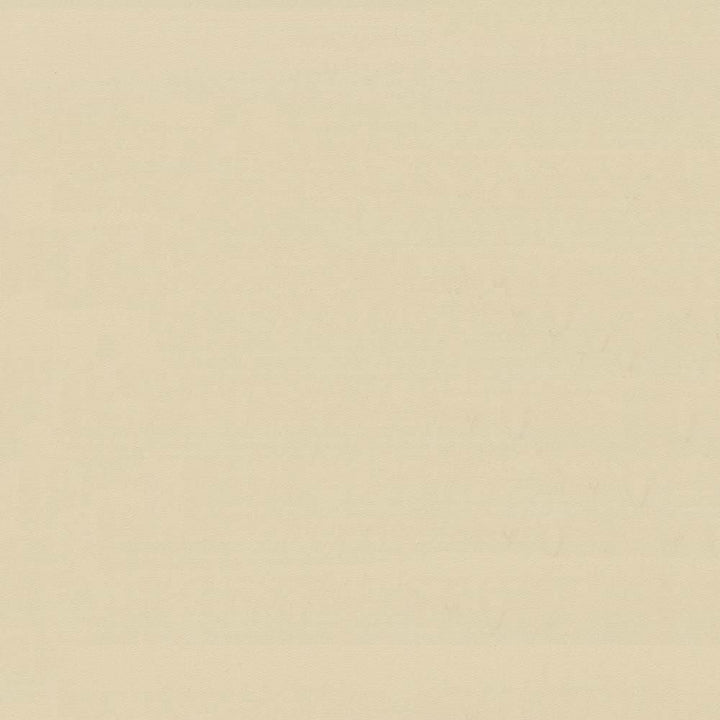 Savvy Sand by Kasmir Fabric 5022 100% Cotton
 INDIA 10,000 Wyzenbeek Double Rubs Horizontal: N/A and Vertical: N/A 54 - Fabric Carolina -