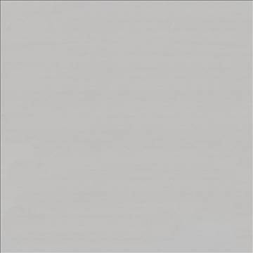 Savvy Silver by Kasmir Fabric 5022 100% Cotton INDIA 10,000 Wyzenbeek Double Rubs H: N/A, V: N/A 54 - 55 - Fabric Carolina - Kasmir