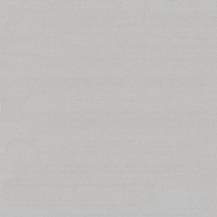 Savvy Silver by Kasmir Fabric 5022 INDIA 10,000 Wyzenbeek Double Rubs H: N/A, V:N/A 54 - 55 - Fabric Carolina - Kasmir