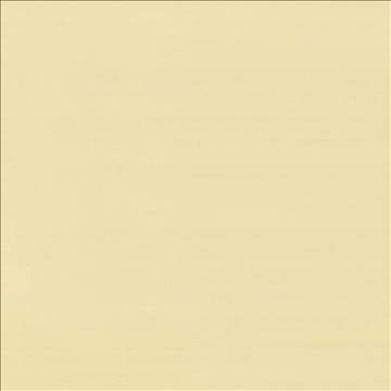 Savvy Straw by Kasmir Fabric 5022 100% Cotton INDIA 10,000 Wyzenbeek Double Rubs H: N/A, V: N/A 54 - 55 - Fabric Carolina - Kasmir