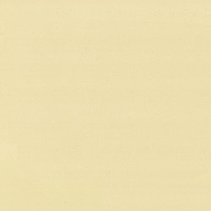 Savvy Straw by Kasmir Fabric 5022 100% Cotton
 INDIA 10,000 Wyzenbeek Double Rubs Horizontal: N/A and Vertical: N/A 54 - Fabric Carolina -