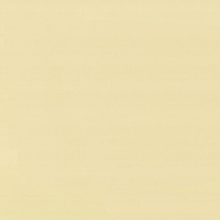 Savvy Straw by Kasmir Fabric 5022 INDIA 10,000 Wyzenbeek Double Rubs H: N/A, V:N/A 54 - 55 - Fabric Carolina - Kasmir