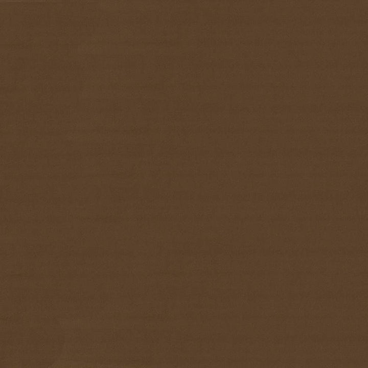 Savvy Tea by Kasmir Fabric 5022 INDIA 10,000 Wyzenbeek Double Rubs H: N/A, V:N/A 54 - 55 - Fabric Carolina - Kasmir