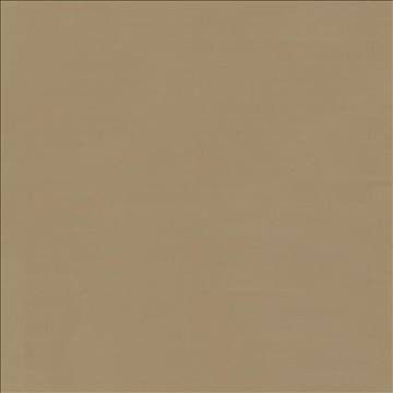 Savvy Toast by Kasmir Fabric 5022 100% Cotton INDIA 10,000 Wyzenbeek Double Rubs H: N/A, V: N/A 54 - 55 - Fabric Carolina - Kasmir