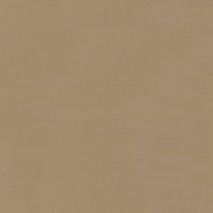 Savvy Toast by Kasmir Fabric 5022 INDIA 10,000 Wyzenbeek Double Rubs H: N/A, V:N/A 54 - 55 - Fabric Carolina - Kasmir