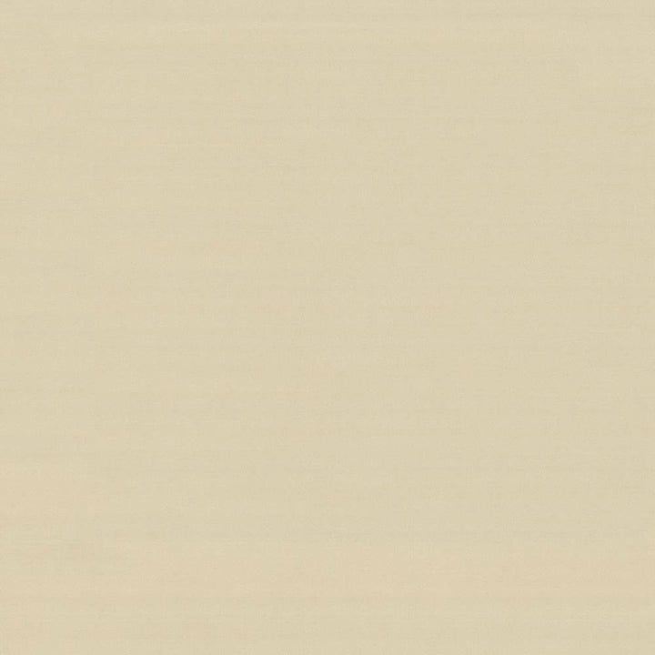 Savvy Vanilla by Kasmir Fabric 5022 INDIA 10,000 Wyzenbeek Double Rubs H: N/A, V:N/A 54 - 55 - Fabric Carolina - Kasmir