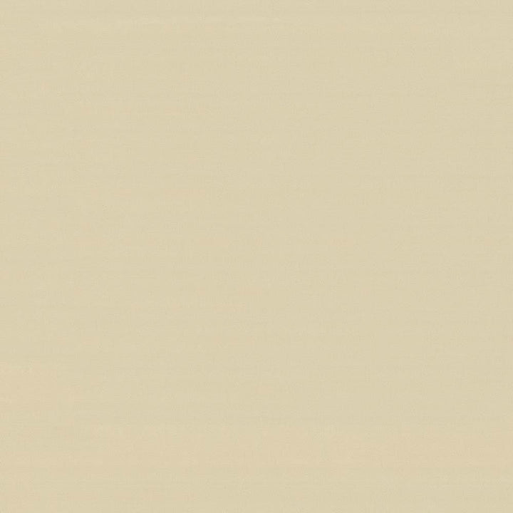 Savvy Vanilla by Kasmir Fabric 5022 100% Cotton
 INDIA 10,000 Wyzenbeek Double Rubs Horizontal: N/A and Vertical: N/A 54 - Fabric Carolina -