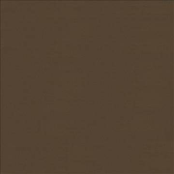 Savvy Walnut by Kasmir Fabric 5022 100% Cotton INDIA 10,000 Wyzenbeek Double Rubs H: N/A, V: N/A 54 - 55 - Fabric Carolina - Kasmir