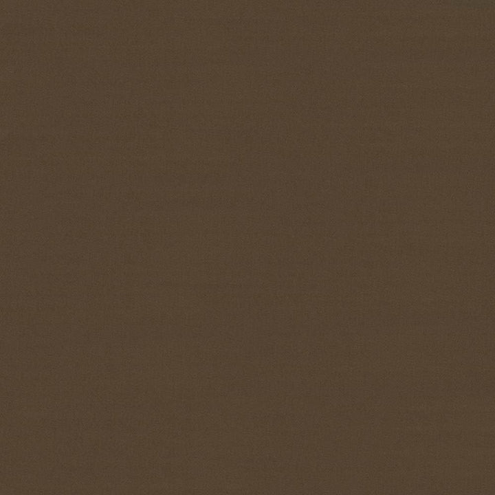 Savvy Walnut by Kasmir Fabric 5022 INDIA 10,000 Wyzenbeek Double Rubs H: N/A, V:N/A 54 - 55 - Fabric Carolina - Kasmir