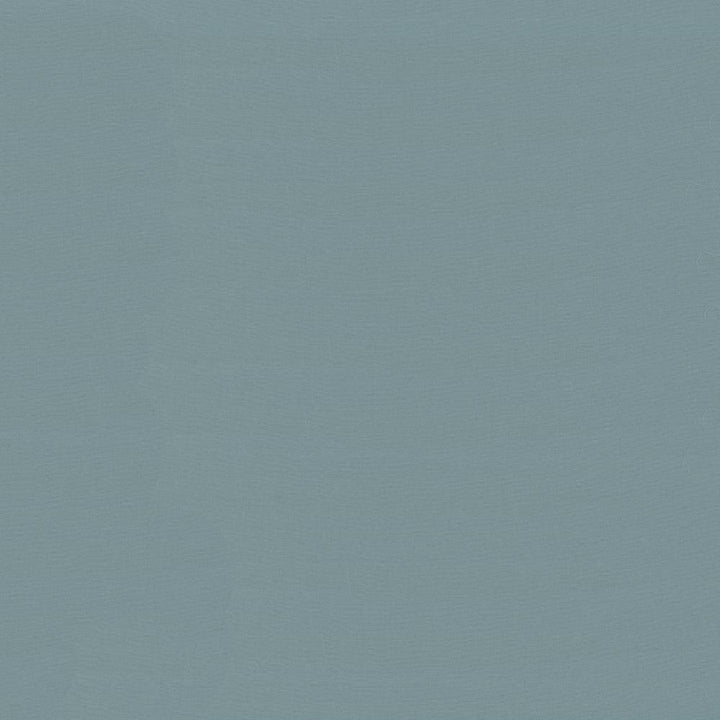 Savvy Water by Kasmir Fabric 5022 INDIA 10,000 Wyzenbeek Double Rubs H: N/A, V:N/A 54 - 55 - Fabric Carolina - Kasmir