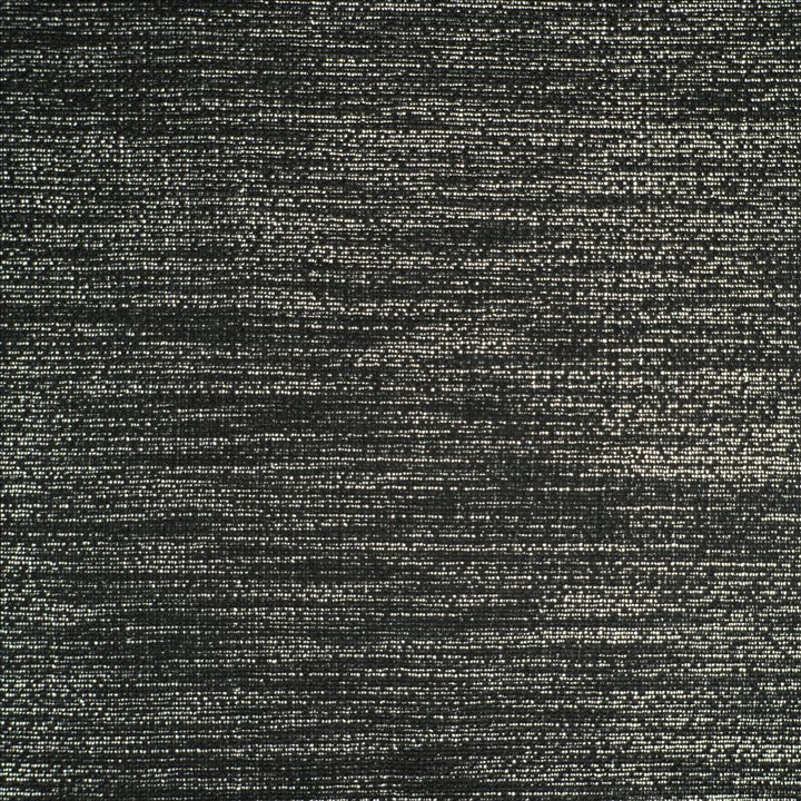 Scintillate Night by Kasmir Fabric 1451 78% Polyester
22% Viscose
 CHINA 30,000 Wyzenbeek Double Rubs </p><p>Repeat: Horizontal: N/A and Vertical: N/A 55 - Fabric Carolina -