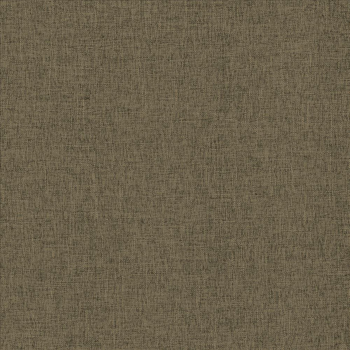 Scope Flax by Kasmir Fabric 5159 100% Polyester
 CHINA </p><p>Repeat: Horizontal: N/A and Vertical: N/A 54 - Fabric Carolina -