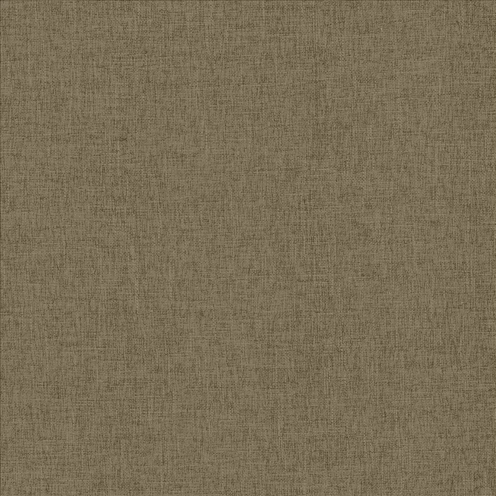 Scope Flax by Kasmir Fabric 5159 100% Polyester CHINA 50,000 Wyzenbeek Double Rubs Horizontal: 0 Inches and Vertical: 0 Inches 54 - Fabric Carolina -