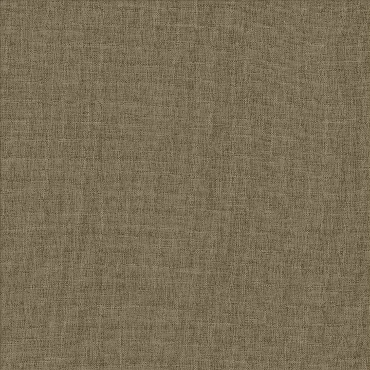 Scope Flax by Kasmir Fabric 5159 100% Polyester CHINA 50,000 Wyzenbeek Double Rubs Horizontal: 0 Inches and Vertical: 0 Inches 54 - Fabric Carolina -