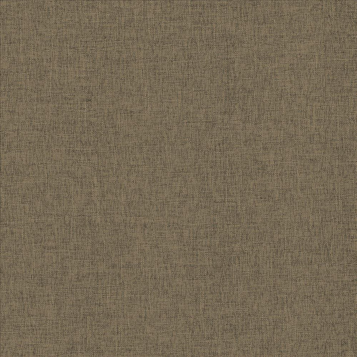 Scope Flax by Kasmir Fabric 5159 100% Polyester
 CHINA 50,000 Wyzenbeek Double Rubs Horizontal: N/A and Vertical: N/A 54 - Fabric Carolina -