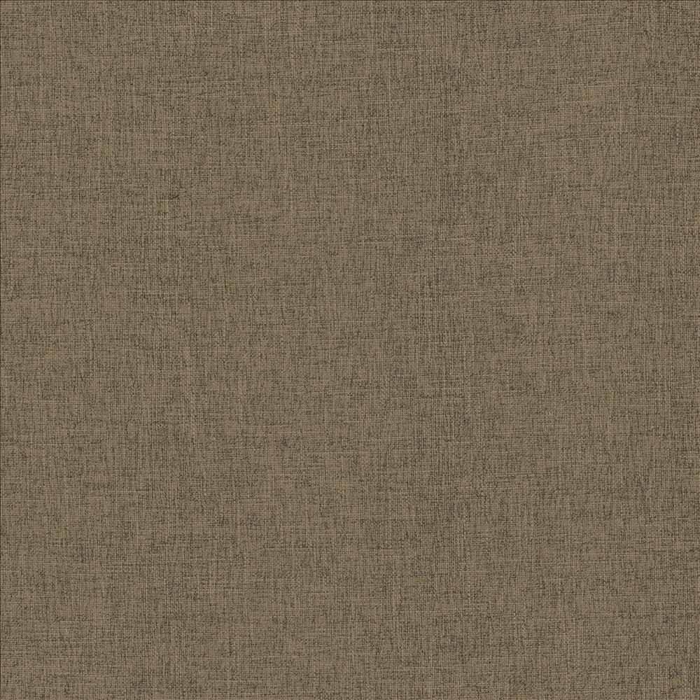 Scope Flax by Kasmir Fabric 5159 100% Polyester
 CHINA 50,000 Wyzenbeek Double Rubs </p><p>Repeat: Horizontal: N/A and Vertical: N/A 54 - Fabric Carolina -