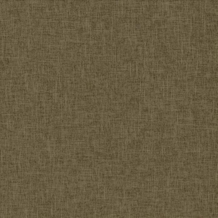 Scope Hessian by Kasmir Fabric 5159 100% Polyester CHINA 50,000 Wyzenbeek Double Rubs Horizontal: 0 Inches and Vertical: 0 Inches 54 - Fabric Carolina -