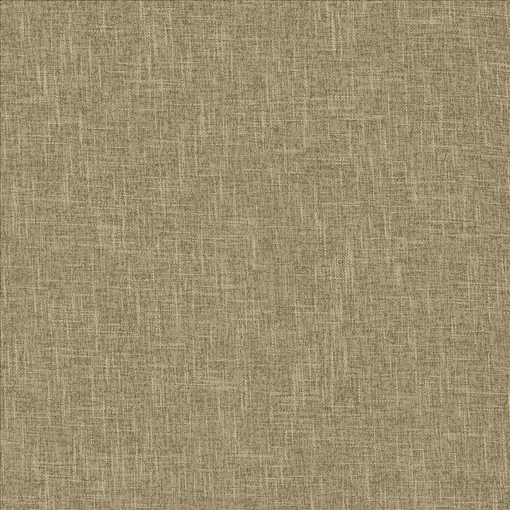 Scope Husk by Kasmir Fabric 5159 100% Polyester
 CHINA </p><p>Repeat: Horizontal: N/A and Vertical: N/A 54 - Fabric Carolina -