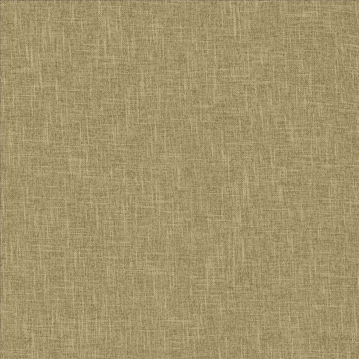 Scope Husk by Kasmir Fabric 5159 100% Polyester
 CHINA 50,000 Wyzenbeek Double Rubs Horizontal: N/A and Vertical: N/A 54 - Fabric Carolina -