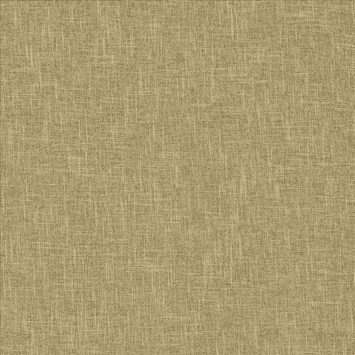 Scope Husk by Kasmir Fabric 5159 100% Polyester
 CHINA </p><p>Repeat: Horizontal: N/A and Vertical: N/A 54 - Fabric Carolina -