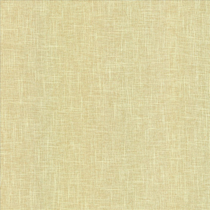Scope Natural by Kasmir Fabric 5159 100% Polyester CHINA 50,000 Wyzenbeek Double Rubs Horizontal: 0 Inches and Vertical: 0 Inches 54 - Fabric Carolina -