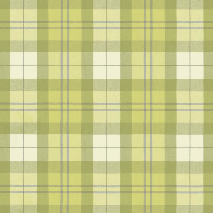 Scotty Pear by Kasmir Fabric 5135 100% Cotton
 INDIA </p><p>Repeat: Horizontal: 9 2/8 inches and Vertical: 10 2/8 inches 54 - Fabric Carolina -
