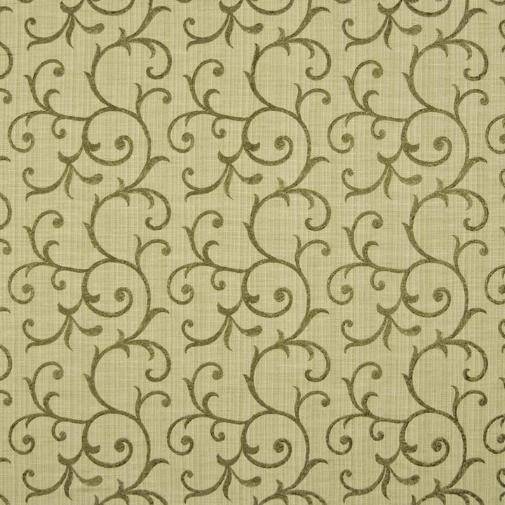 Scrimshaw Peridot  by Kasmir Fabric See sample 65% Cotton
35% Polyester
 INDIA 10,000 Wyzenbeek Double Rubs </p><p>Repeat: Horizontal: 10 2/8 inches and Vertical: 9 2/8 inches 54  - Fabric Carolina -