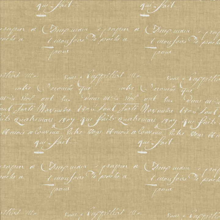 Script Natural  by Kasmir Fabric See sample 100% Linen
 FRANCE Not Tested </p><p>Repeat: Horizontal: 17 7/8 inches and Vertical: 25 2/8 inches 63  - Fabric Carolina -