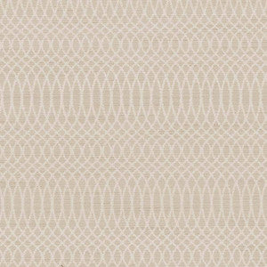 Scrolly Stripe Cotton by Kasmir Fabric