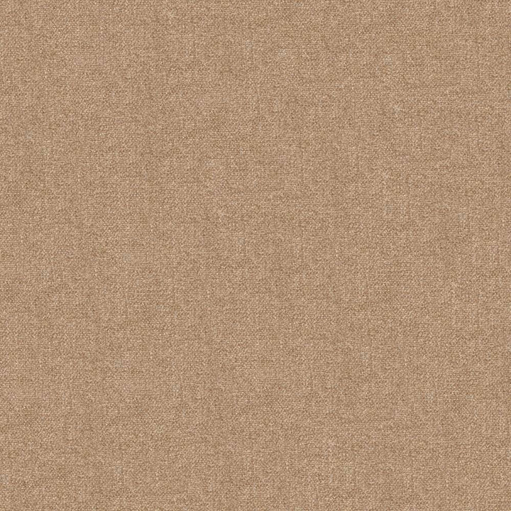 Scrumptious Camel by Kasmir Fabric 1379 INDIA 50,000 Wyzenbeek Double Rubs H: N/A, V:N/A 54 - Fabric Carolina - Kasmir