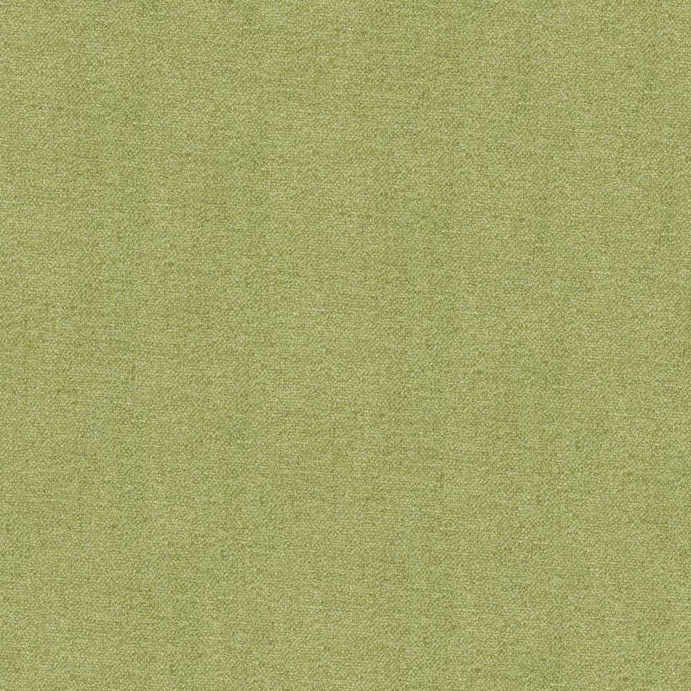 Scrumptious Celery by Kasmir Fabric 1379 INDIA 50,000 Wyzenbeek Double Rubs H: N/A, V:N/A 54 - Fabric Carolina - Kasmir