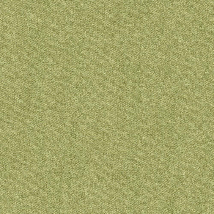 Scrumptious Celery by Kasmir Fabric 1379 INDIA 50,000 Wyzenbeek Double Rubs H: N/A, V:N/A 54 - Fabric Carolina - Kasmir