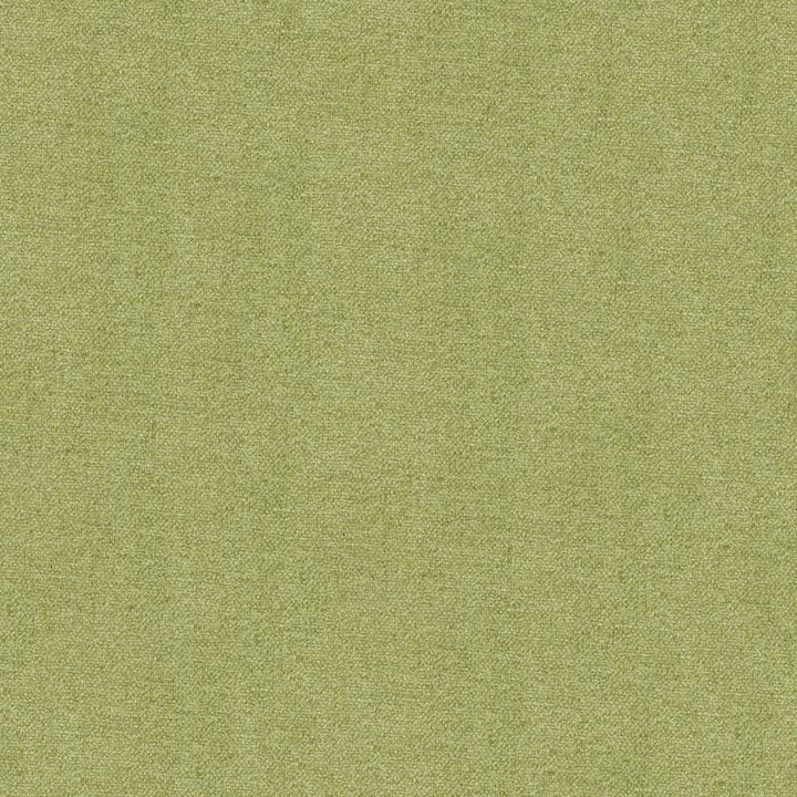 Scrumptious Celery by Kasmir Fabric 1379 100% Polyester
 INDIA 50,000 Wyzenbeek Double Rubs </p><p>Repeat: Horizontal: N/A and Vertical: N/A 54 - Fabric Carolina -