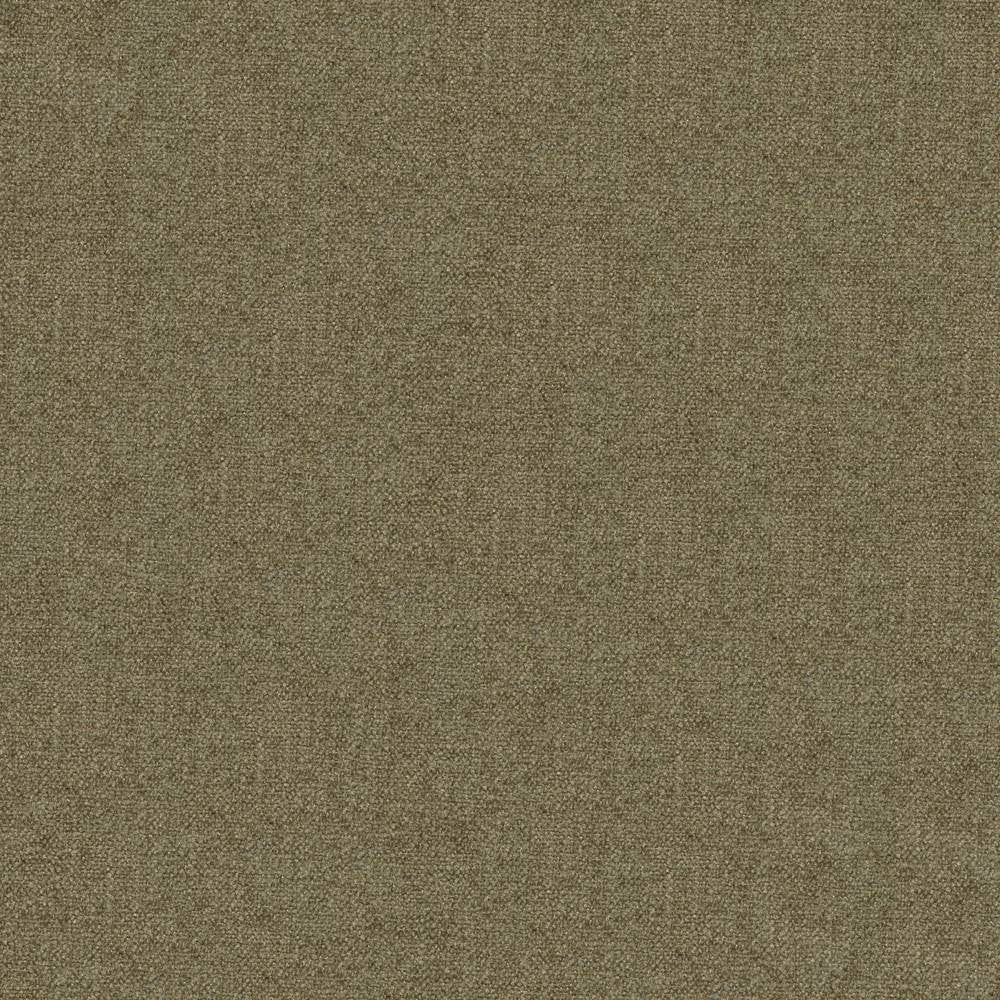 Scrumptious Khaki by Kasmir Fabric 1379 INDIA 50,000 Wyzenbeek Double Rubs H: N/A, V:N/A 54 - Fabric Carolina - Kasmir