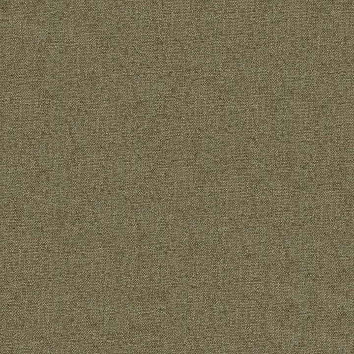 Scrumptious Khaki by Kasmir Fabric 1379 INDIA 50,000 Wyzenbeek Double Rubs H: N/A, V:N/A 54 - Fabric Carolina - Kasmir