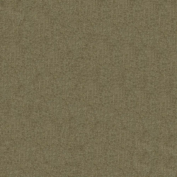 Scrumptious Khaki by Kasmir Fabric 1379 100% Polyester
 INDIA 50,000 Wyzenbeek Double Rubs Horizontal: N/A and Vertical: N/A 54 - Fabric Carolina -
