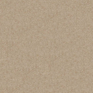 Scrumptious Linen by Kasmir Fabric