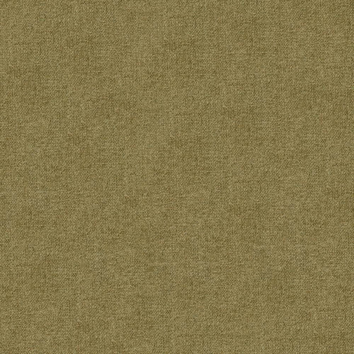 Scrumptious Sage by Kasmir Fabric 1379 100% Polyester
 INDIA 50,000 Wyzenbeek Double Rubs </p><p>Repeat: Horizontal: N/A and Vertical: N/A 54 - Fabric Carolina -