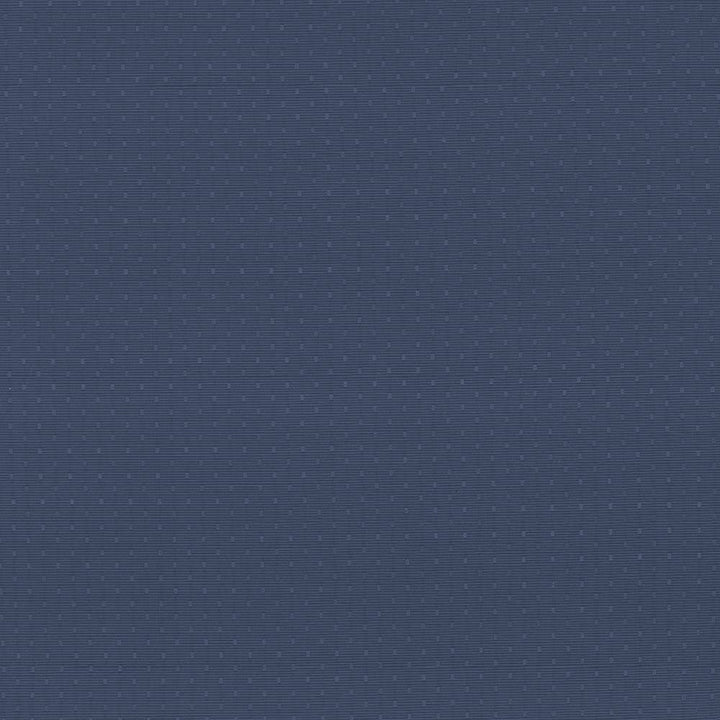 Scruple Cadet by Kasmir Fabric 5097 INDIA 20,000 Wyzenbeek Double Rubs H: 6/8 inches, V:6/8 inches 54 - 55 - Fabric Carolina - Kasmir