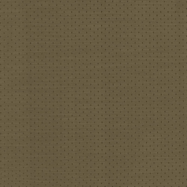 Scruple Cocoa by Kasmir Fabric 5101 100% Polyester
 INDIA </p><p>Repeat: Horizontal: 6/8 inches and Vertical: 6/8 inches 54 - 55 - Fabric Carolina -