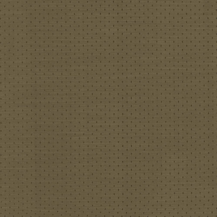 Scruple Cocoa by Kasmir Fabric 5101 INDIA 20,000 Wyzenbeek Double Rubs H: 6/8 inches, V:6/8 inches 54 - 55 - Fabric Carolina - Kasmir
