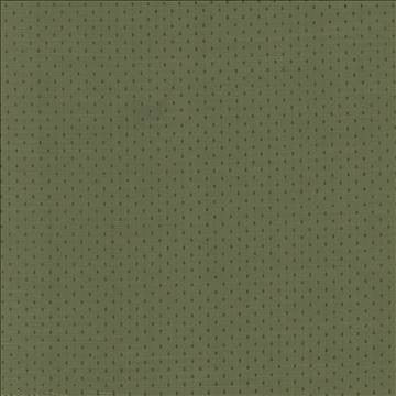 Scruple Forest by Kasmir Fabric 5099 100% Polyester INDIA 20,000 Wyzenbeek Double Rubs H: 6/8 inches, V: 6/8 inches 54 - 55 - Fabric Carolina - Kasmir